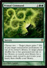 Primal Command