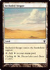 Secluded Steppe
