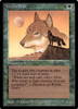 Wyluli Wolf (dark)