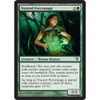 Trusted Forcemage (foil)