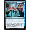 Retreat to Coralhelm