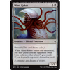 Mind Raker (foil)