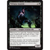 Nirkana Assassin (foil)