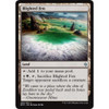 Blighted Fen (foil)