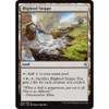 Blighted Steppe (foil)