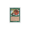 Spike Feeder