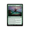 Verdant Confluence