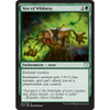 Vow of Wildness