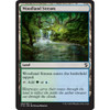Woodland Stream