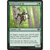 Timberwatch Elf