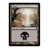 Swamp (#307)