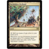 Forbidden Orchard (foil)