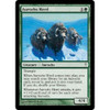 Aurochs Herd (foil)
