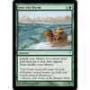 Into the North (foil) | Coldsnap
