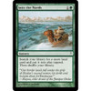Into the North (foil)
