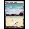 Snow-Covered Plains (foil)