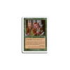 Fyndhorn Elves