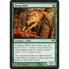 Young Wolf (foil) | Dark Ascension