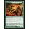 Young Wolf (foil)