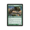 Pelakka Wurm  (foil)