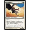 Aven Squire (foil)