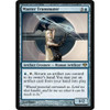 Master Transmuter (foil)