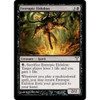 Entropic Eidolon