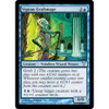 Vigean Graftmage (foil) | Dissension