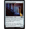 Suspicious Bookcase (foil)