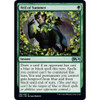 Veil of Summer (foil)