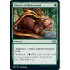 Chatter of the Squirrel (foil)