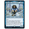 Naru Meha, Master Wizard