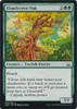 Cloudcrown Oak
