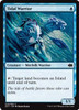 Tidal Warrior