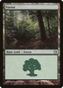 Forest (#112)