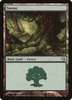 Forest (#113)