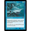 Hammerhead Shark