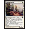 Hopeful Eidolon