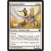 Wingsteed Rider (foil)