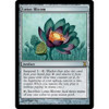 Lotus Bloom