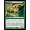 Herd Gnarr (foil)