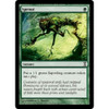 Sprout (foil)