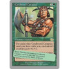 Cardboard Carapace