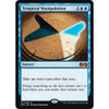 Temporal Manipulation (foil)