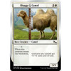 Shaggy Camel