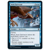 Aven Surveyor