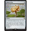 Gilded Lotus