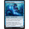 Vodalian Arcanist (foil)
