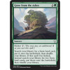 Grow from the Ashes (foil)