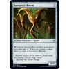 Sorcerer's Broom